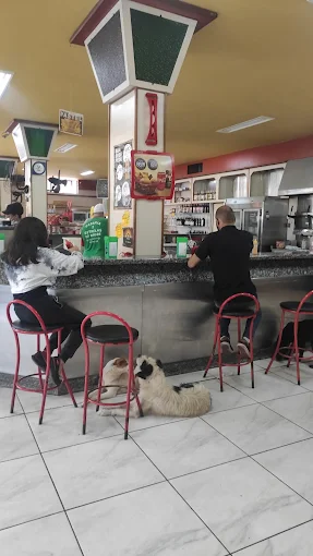 Galeria