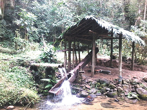 Galeria de fotos