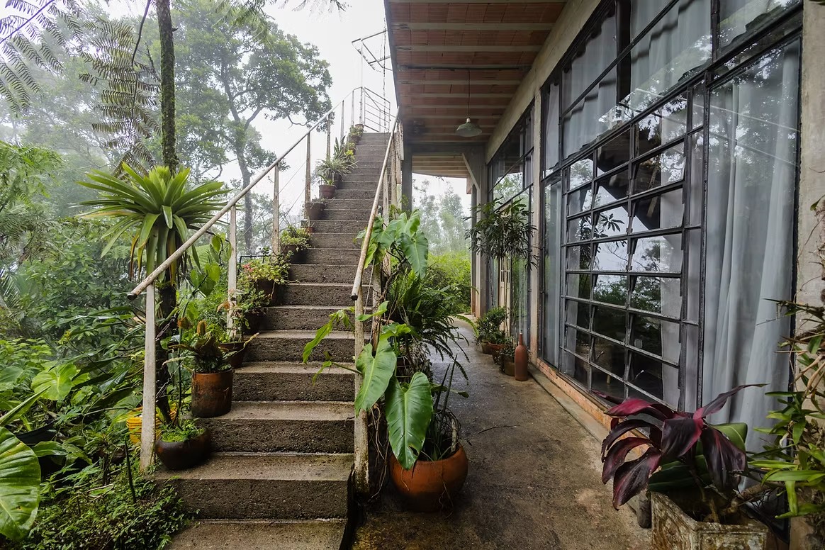 Galeria